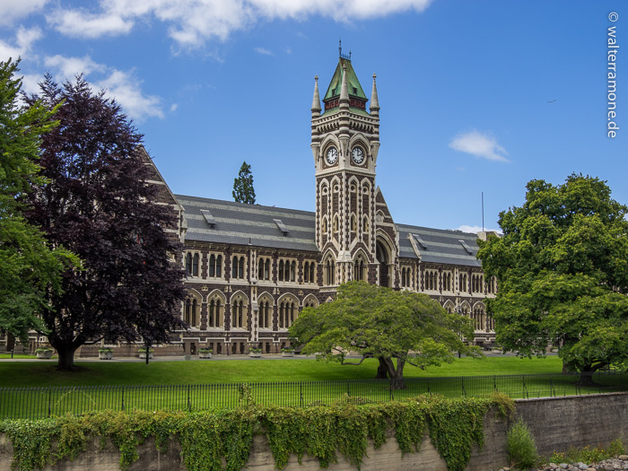 Mehr über den Artikel erfahren Dunedin