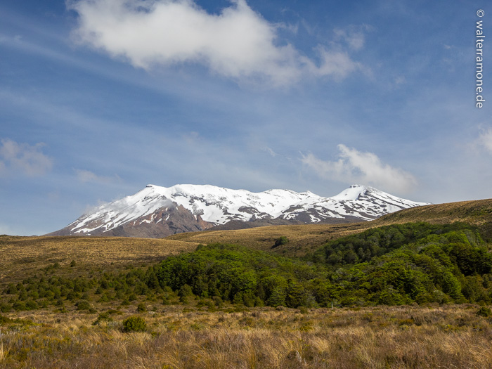 Mehr über den Artikel erfahren Tongariro National Park