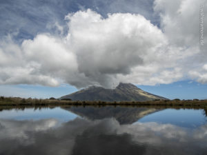 Mehr über den Artikel erfahren Egmont National Park