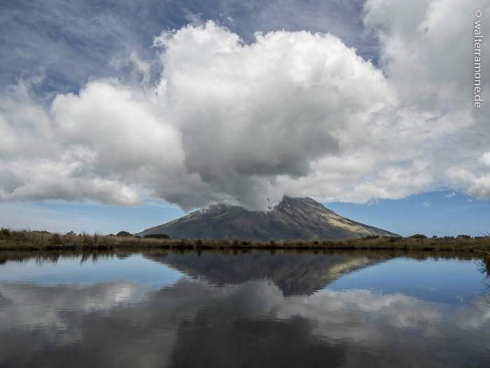 Mehr über den Artikel erfahren Egmont National Park