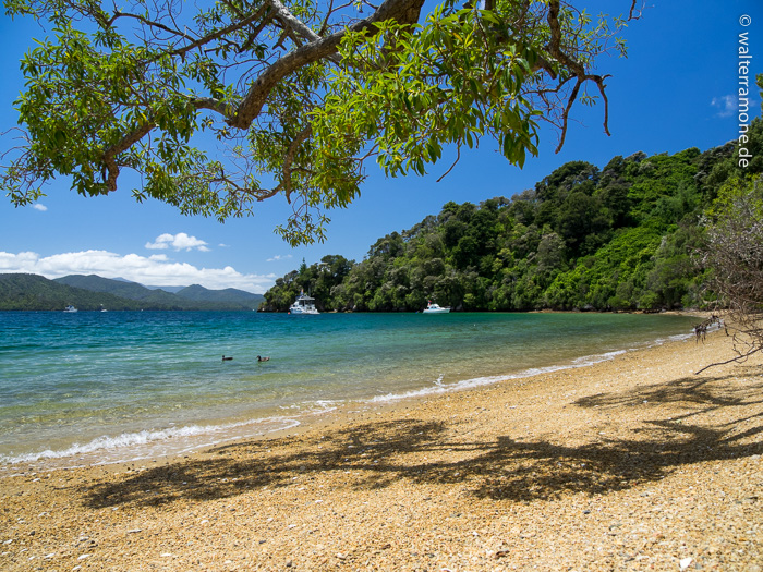 Mehr über den Artikel erfahren Marlborough Sounds