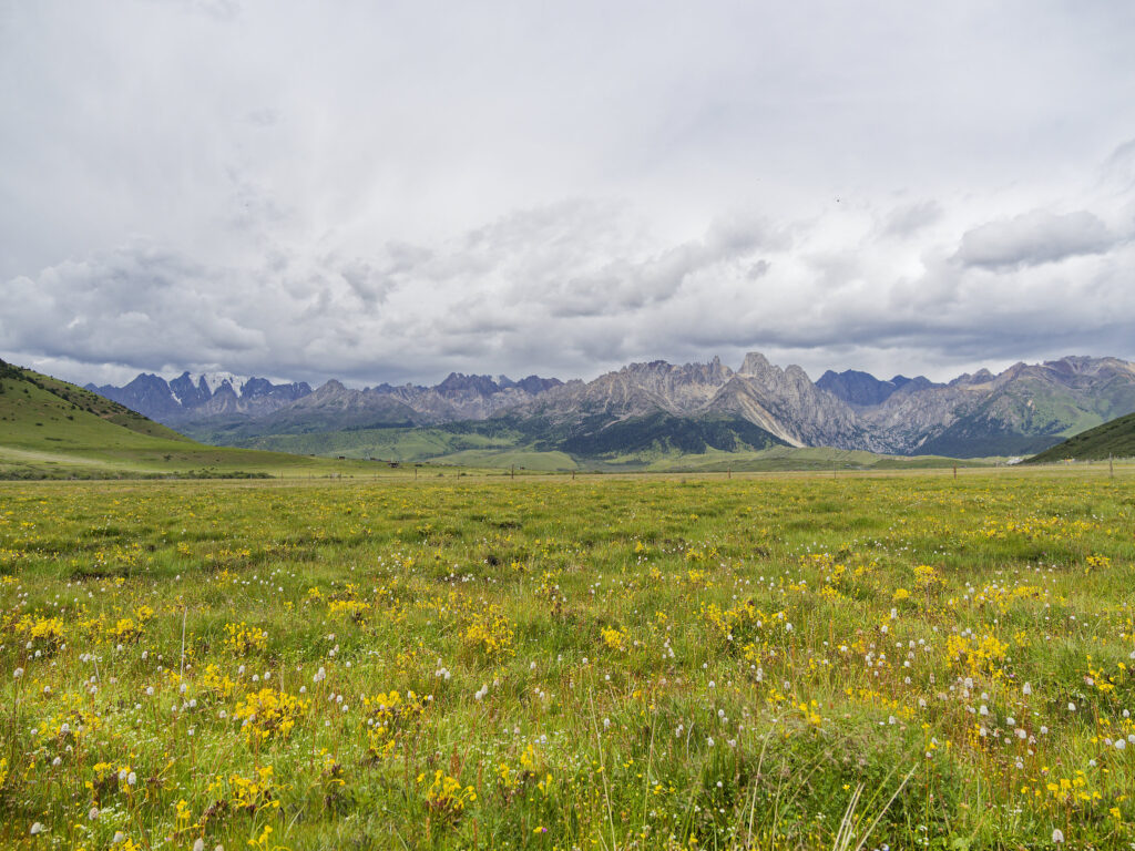 Tsopu Valley
