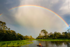 Mehr über den Artikel erfahren Amazonas