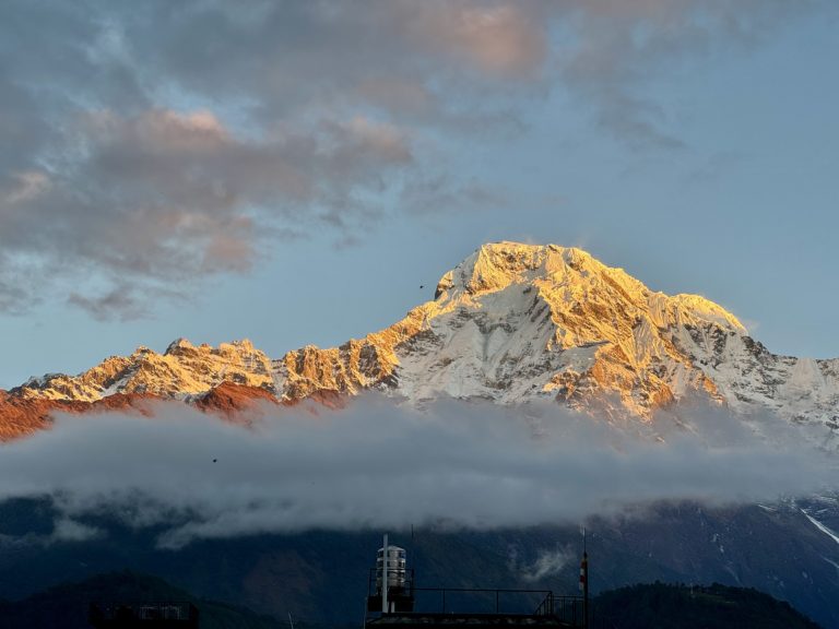 Mehr über den Artikel erfahren Tadapani