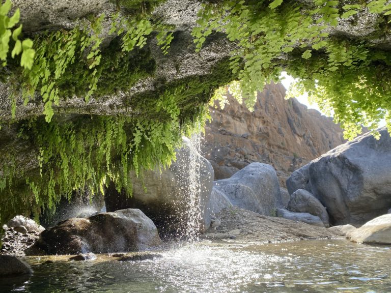 Mehr über den Artikel erfahren Wadi Dam