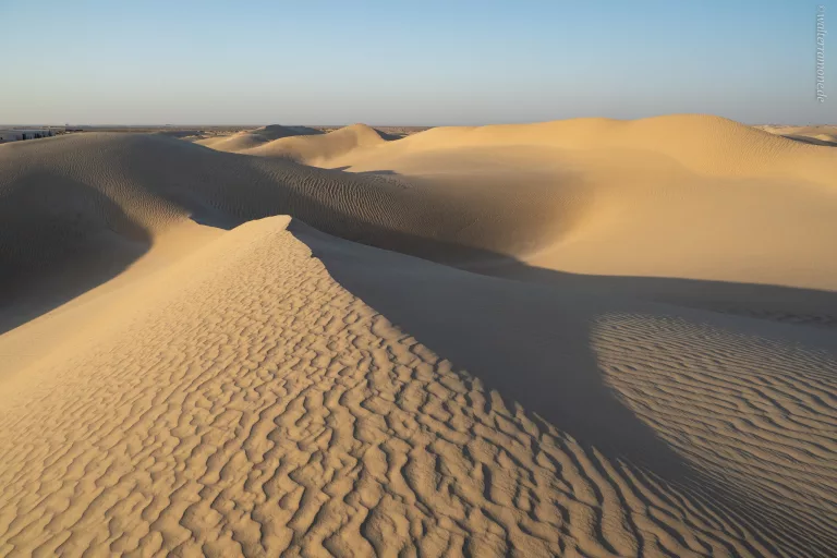 Mehr über den Artikel erfahren Sugardunes