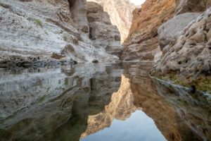 Mehr über den Artikel erfahren Wadi Shab und Salma Plateau