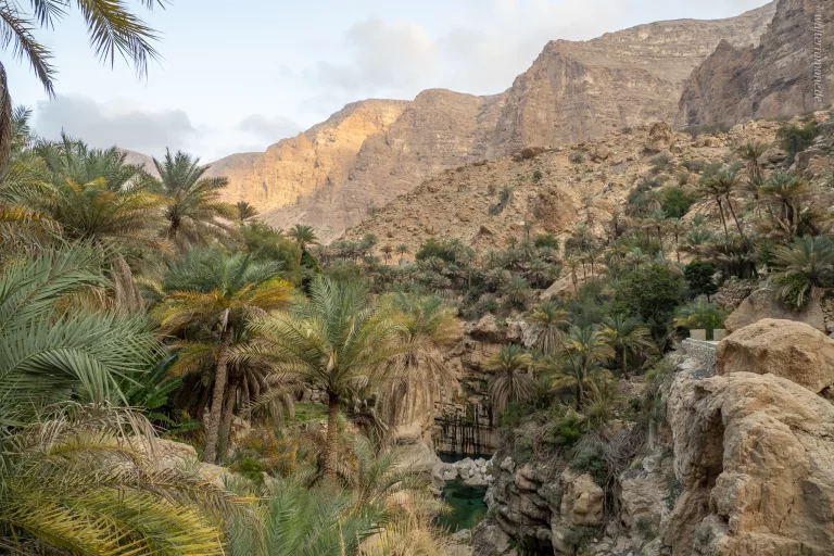 Mehr über den Artikel erfahren Sur und Wadi Tiwi