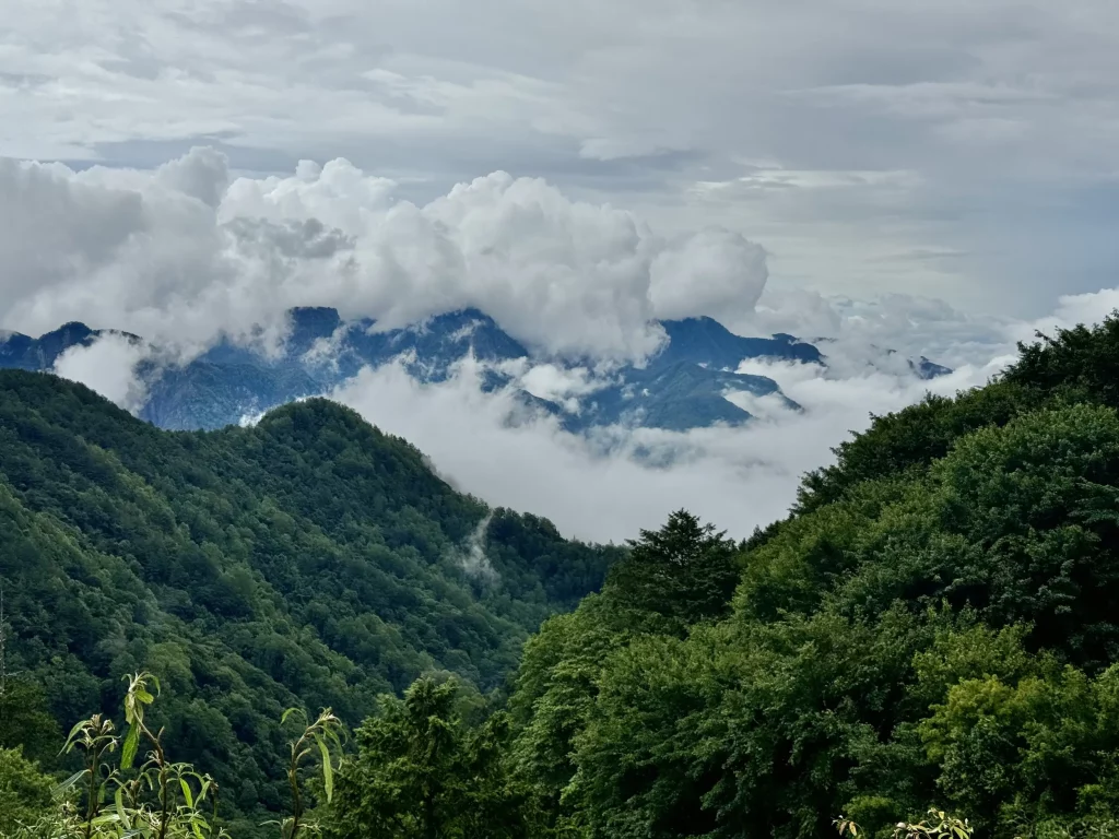 Taiwan: Alishan-Highway