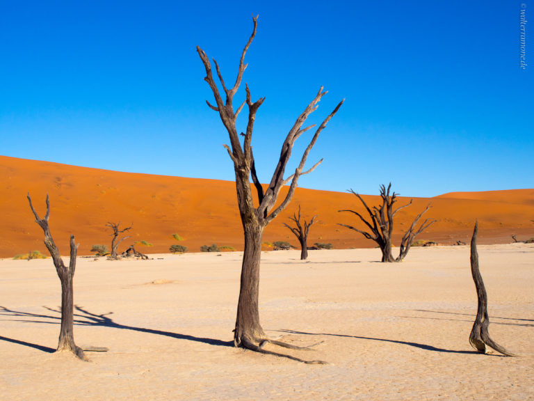 Mehr über den Artikel erfahren Von Johannesburg nach Swakopmund